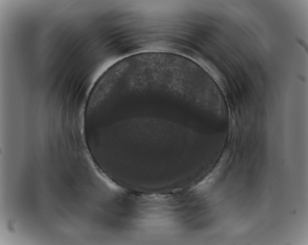 X0000097460862200803071630