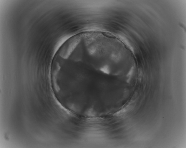 X0000097460863200803071630