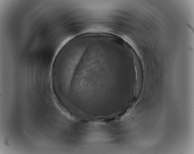 X0000097460864200803071630