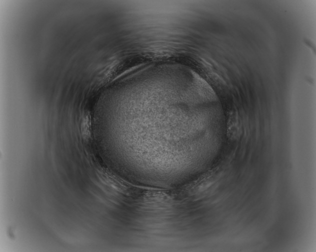 X0000097460866200803071629