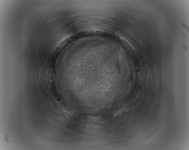 X0000097460870200803071629