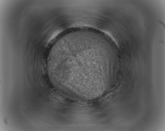 X0000097460871200803071629