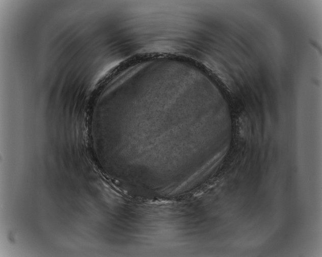 X0000097460872200803071629