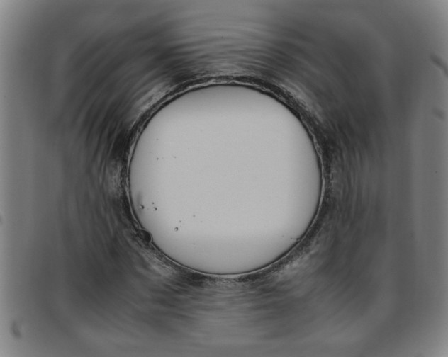 X0000097460873200803071629