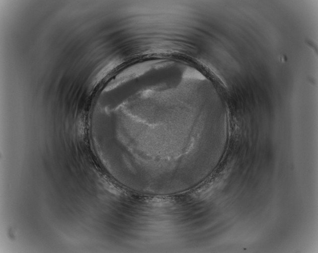 X0000097460874200803071629