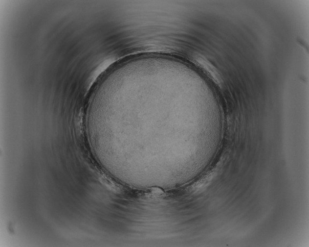 X0000097460875200803071629