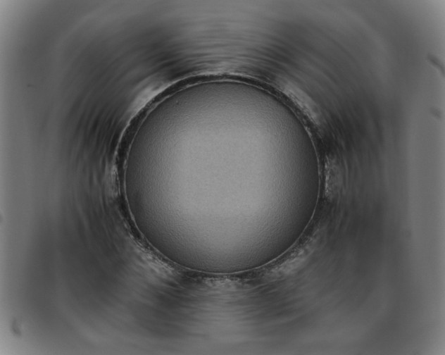 X0000097460876200803071629