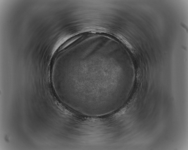 X0000097460877200803071629