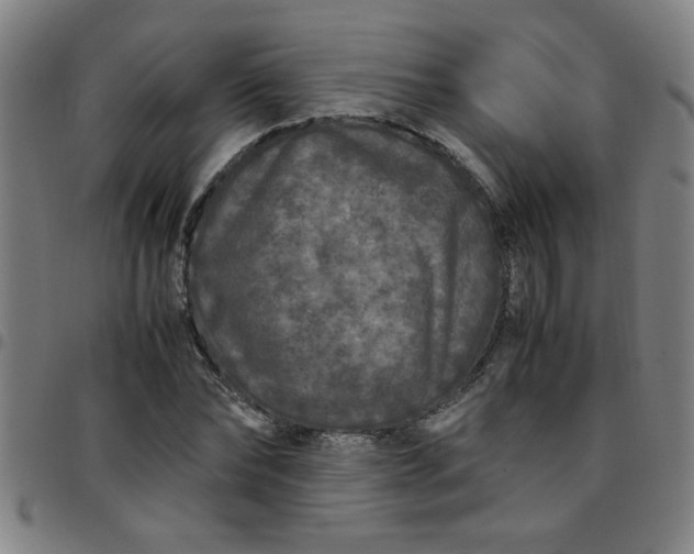 X0000097460878200803071629