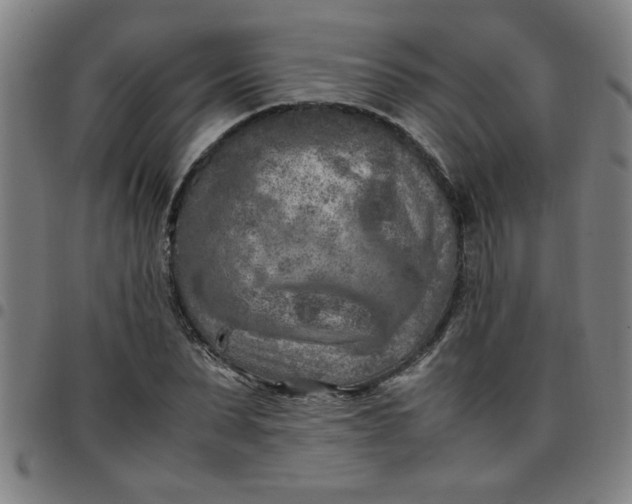 X0000097460879200803071629