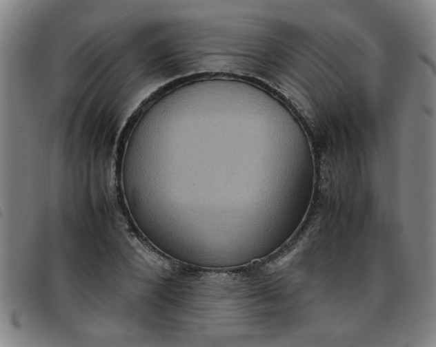 X0000097460880200803071629