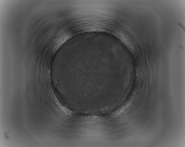 X0000097460881200803071629