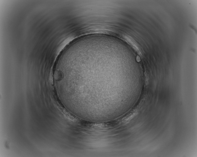 X0000097460883200803071629