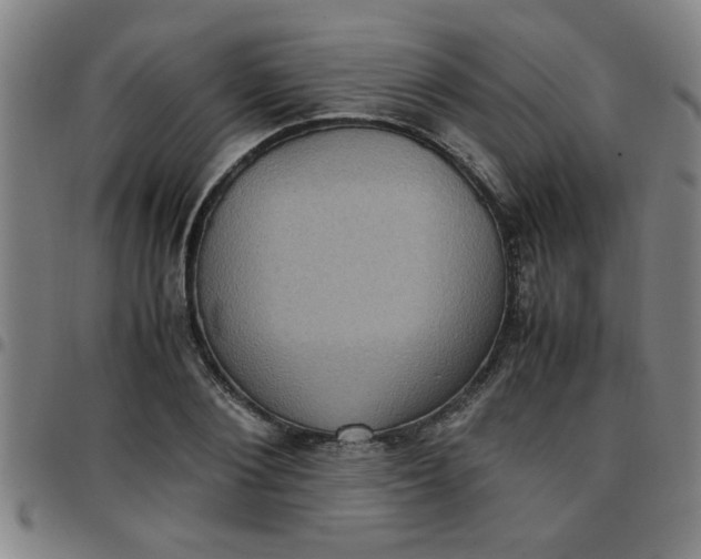 X0000097460884200803071629