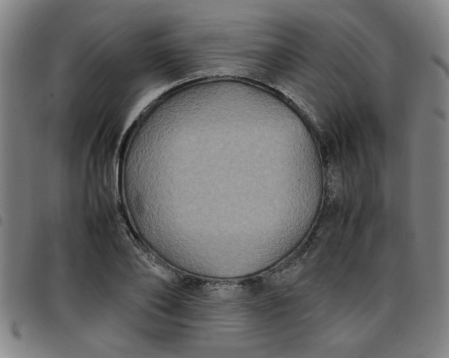 X0000097460886200803071629