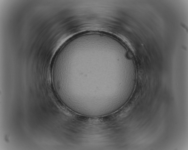 X0000097460887200803071629