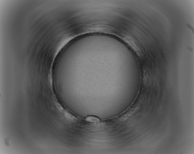 X0000097460888200803071629