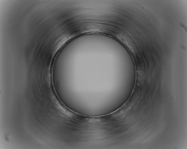 X0000097460890200803071629