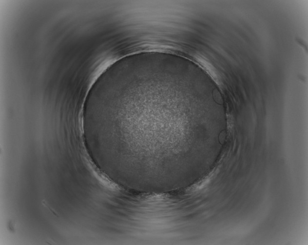 X0000097460891200803071629