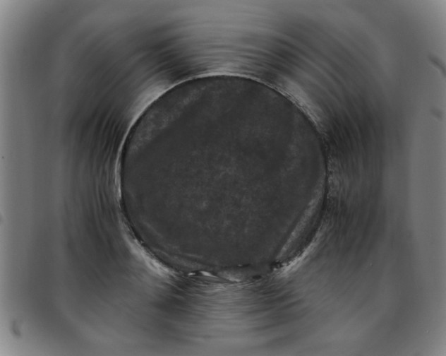 X0000097460892200803071629