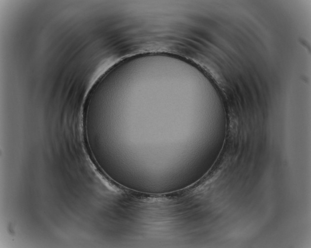 X0000097460894200803071628