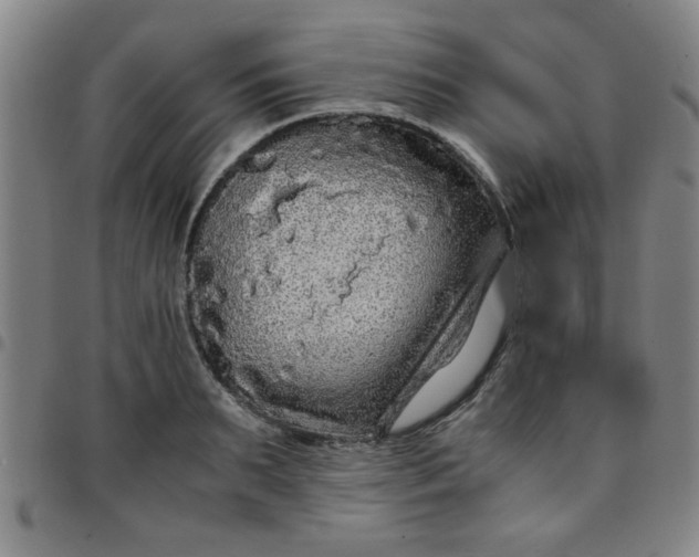 X0000097460895200803071628