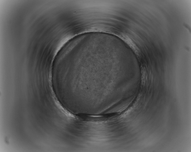 X0000097460896200803071628