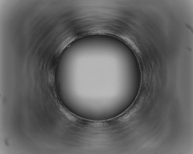 X0000097460897200803071628