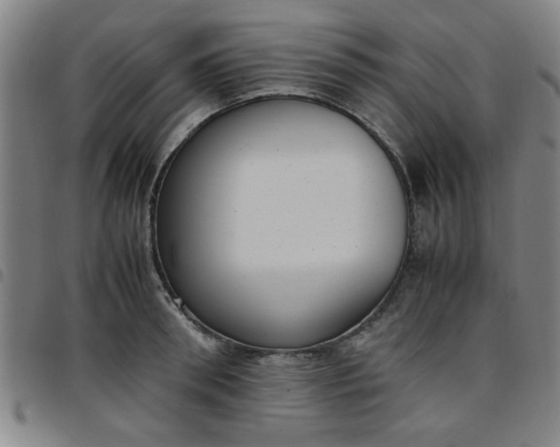 X0000097460898200803071628