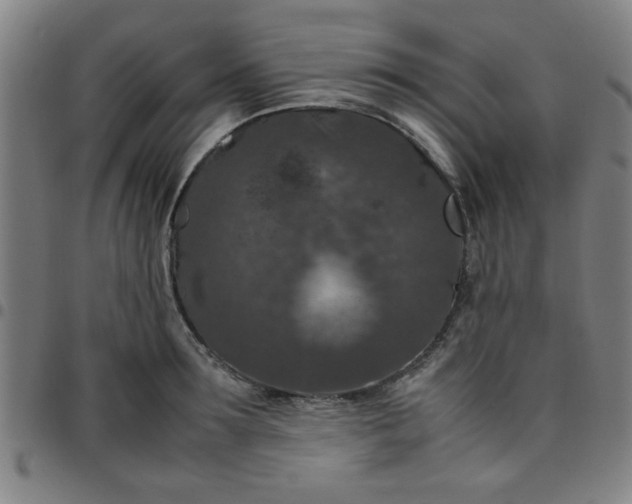 X0000097460899200803071628