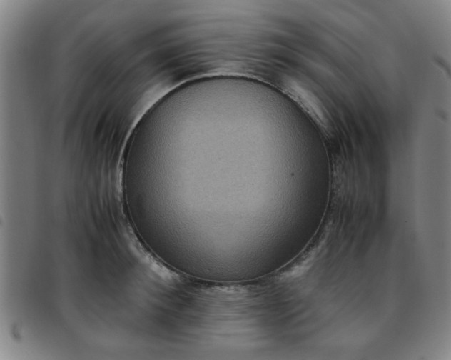 X0000097460900200803071628