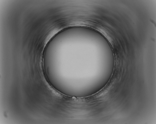 X0000097460901200803071628