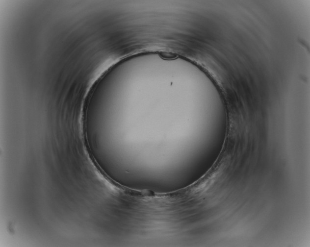 X0000097460902200803071628