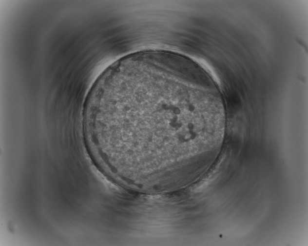 X0000097460903200803071628