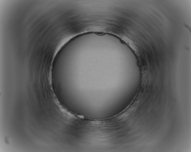 X0000097460904200803071628