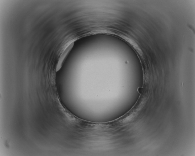 X0000097460905200803071628