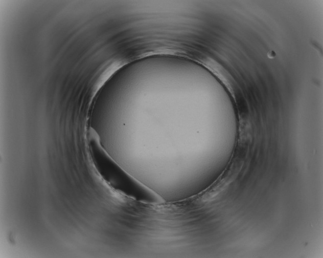 X0000097460906200803071628