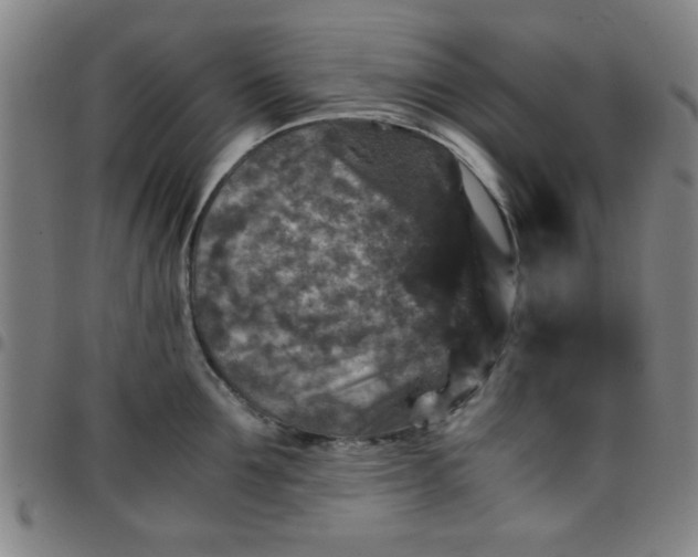 X0000097460907200803071628