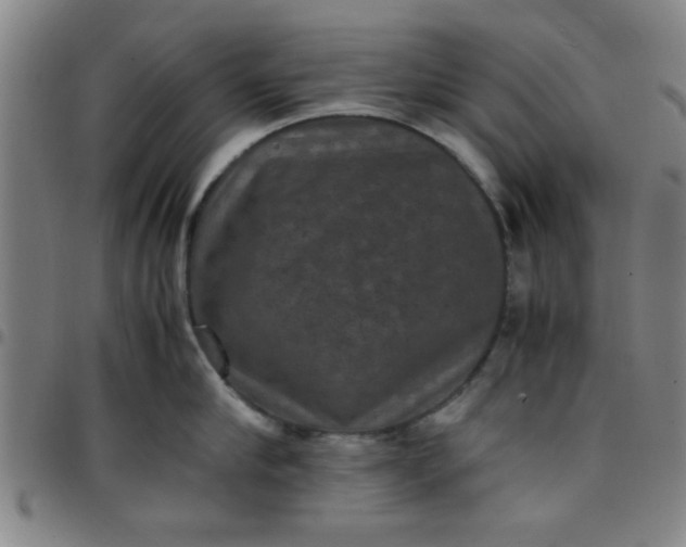 X0000097460910200803071628