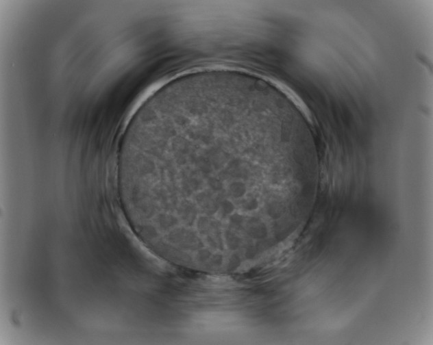 X0000097460911200803071628