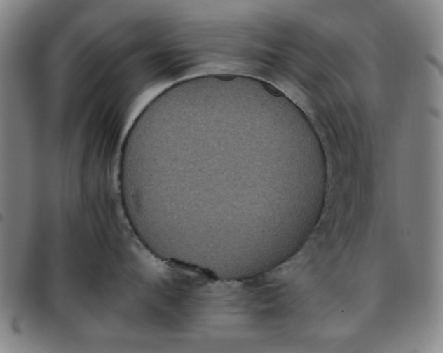 X0000097460912200803071628