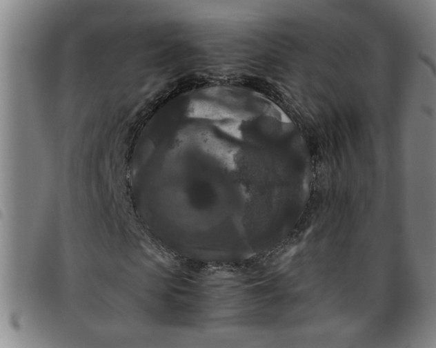 X0000097460913200803071628