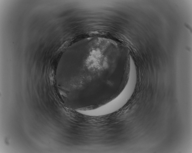 X0000097460915200803071628