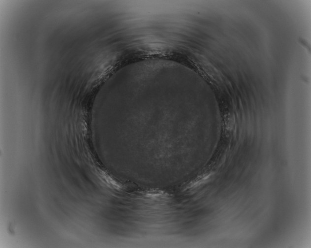 X0000097460916200803071628