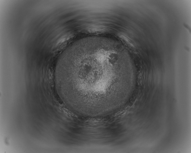 X0000097460917200803071628