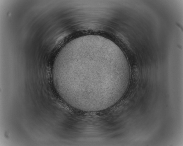 X0000097460918200803071628