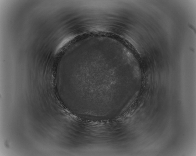 X0000097460919200803071628