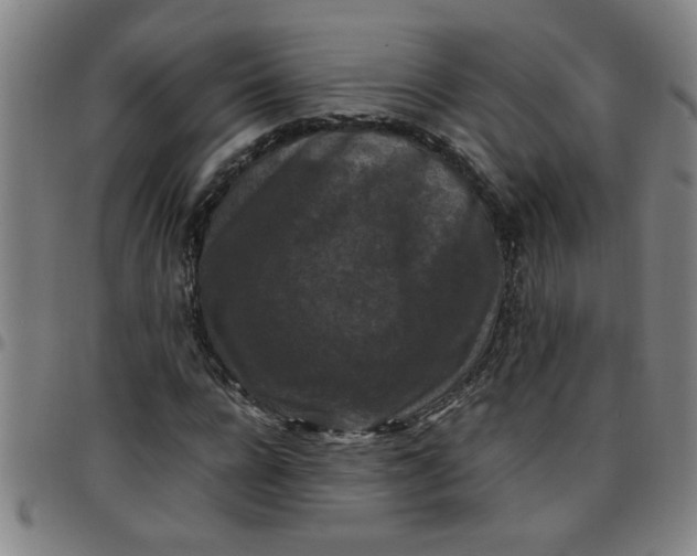 X0000097460920200803071628