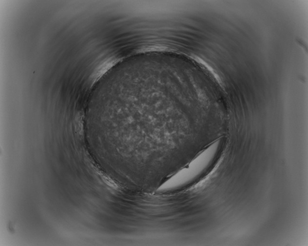 X0000097460921200803071628