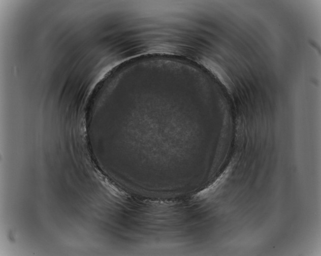 X0000097460923200803071628